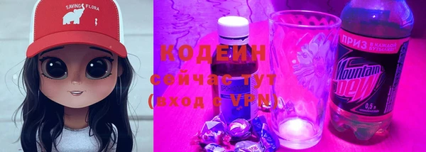 ГАЛЛЮЦИНОГЕННЫЕ ГРИБЫ Новозыбков