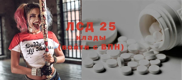 ГАЛЛЮЦИНОГЕННЫЕ ГРИБЫ Новозыбков