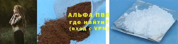 ГАЛЛЮЦИНОГЕННЫЕ ГРИБЫ Новозыбков