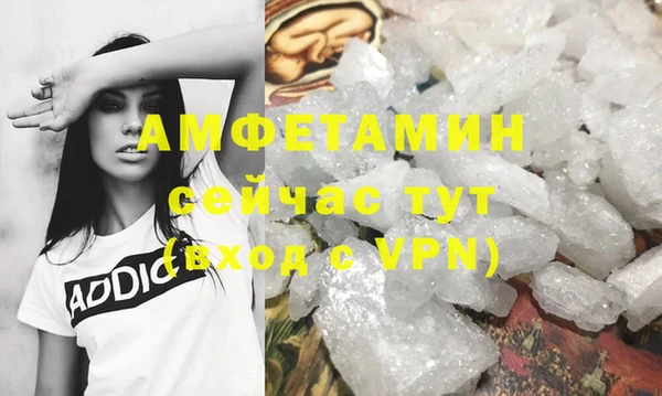 ГАЛЛЮЦИНОГЕННЫЕ ГРИБЫ Новозыбков