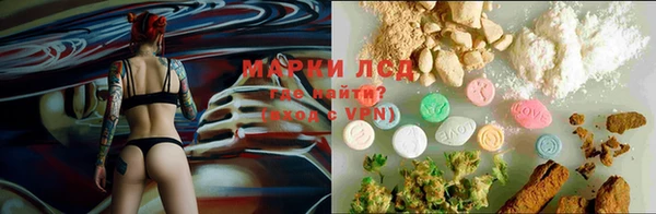 винт Няндома
