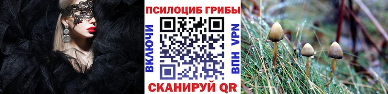 Псилоцибиновые грибы Magic Shrooms  продажа наркотиков  Нестеровская 